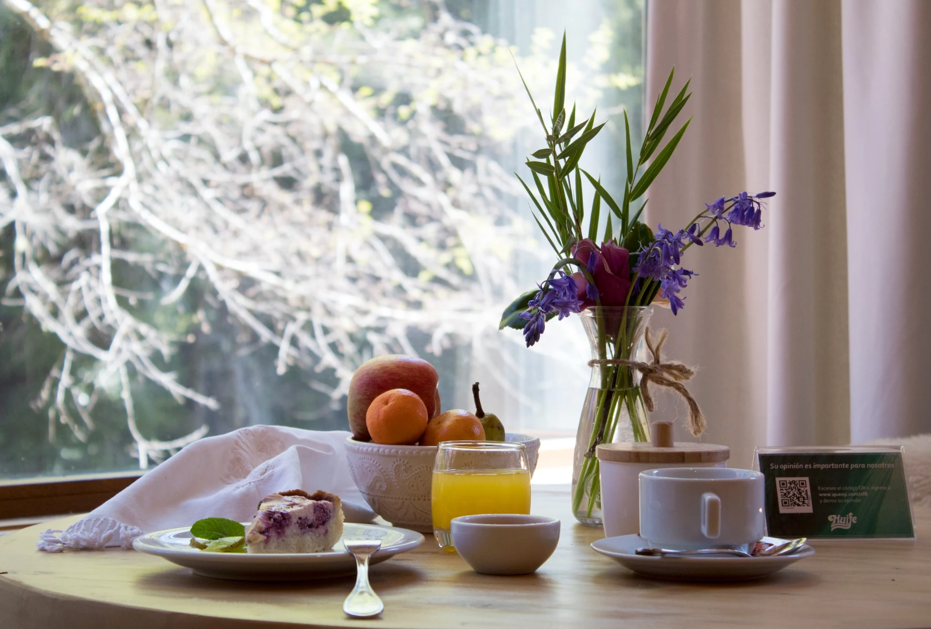 Cafetería con vistas al bosque
